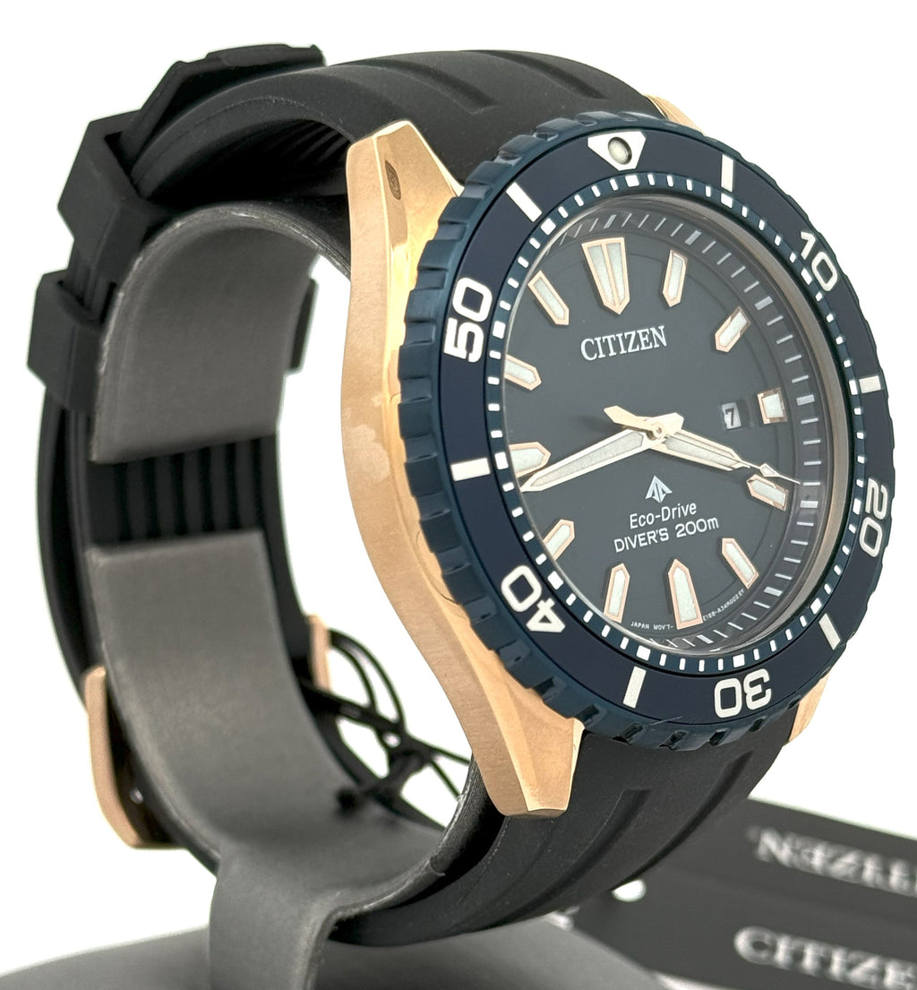 Citizen Promaster Dive Automatic 45mm Watch, BN0196-01L